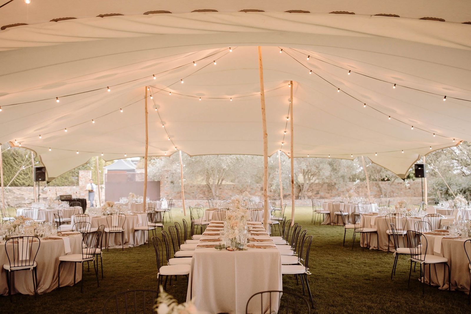 Carpa evento boda